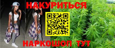 сатива Краснознаменск
