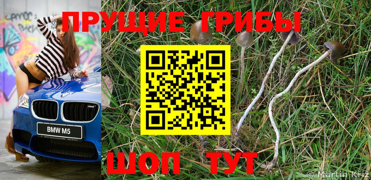 Псилоцибиновые грибы Cubensis Южно-Сахалинск